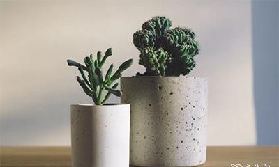 什么体质不适合戴朱砂 带朱砂的讲究和忌讳