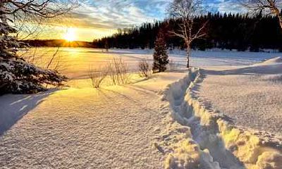 龙和羊婚配合不合 龙和羊的婚姻好不好