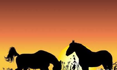 一看就是大富大贵之人 大富大贵是命中注定吗