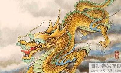 属龙女的感情弱点缺点是什么