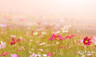 桃花劫是什么东西 桃花劫怎么破解