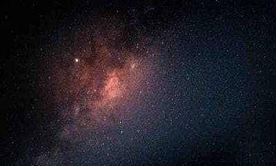 金龙命是什么意思 金龙的人运势如何