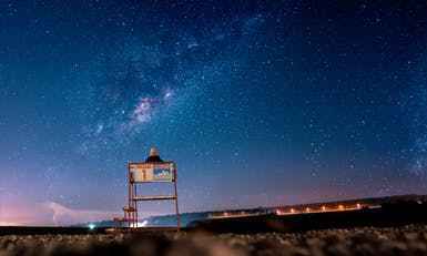 属龙人的女性能旺不旺夫