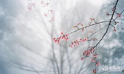 什么是三魂七魄 人的三魂七魄如何修复