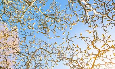 考试前一晚如何开运 助学业的风水布局