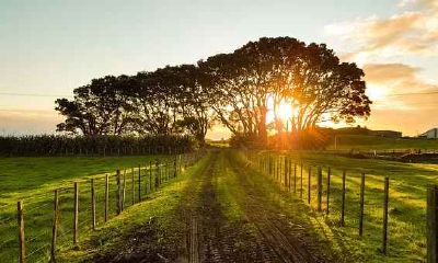 生肖属龙和生肖属蛇配对