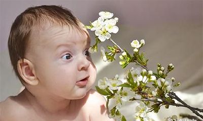 箫姓古风男名儒雅有仙气精选推荐