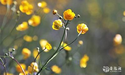 十字架项链 男生送女生十字架项链代表什么