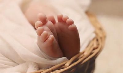 2019年三月十四出生的女宝宝起名