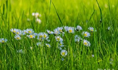 黄水晶的功效 佩戴黄水晶要注意什么