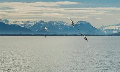 以平安健康之意取名方法 平安的取名推荐