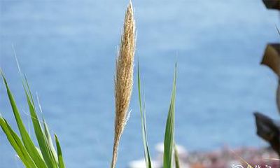 本命年送什么礼物 本命年要注意什么