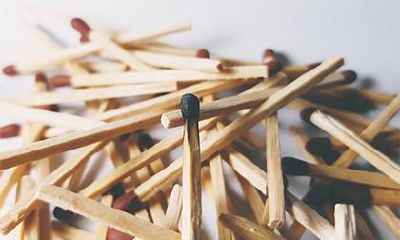 海燕名字打多少分 名字的含义五行解析