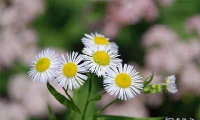 信用卡尾号吉凶 信用卡尾号密码解析