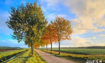 信用卡尾号四个8很好嘛 信用卡注销注意事项