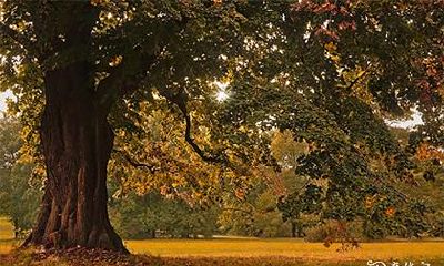 身份证尾数是9的命运怎么样 是好是坏