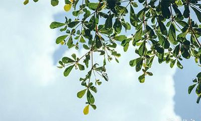 转运珠绳子断了意味着什么 转运珠换绳子有忌讳么