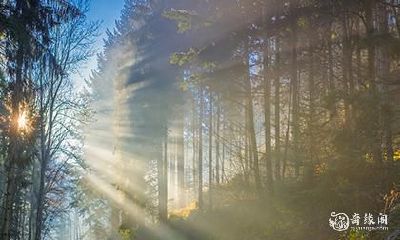 最近诸事不顺转运方法 什么东西会压人的运气