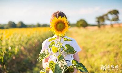 衣服上有猛兽图案吉利吗 衣服上忌讳什么图案