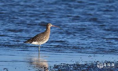 1 3 9 号码财运 带财运的吉祥号码