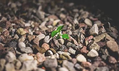 寓意生命力顽强的小名怎么取 小名推荐