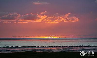 若汐在女孩名中的寓意 若字取名的寓意女孩