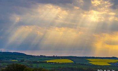 女孩叫若兮名字的寓意 楚辞中最唯美的名字