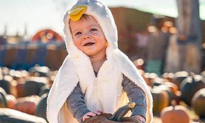 2019年农历七月二十五日出生的男宝宝如何起名？