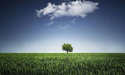 珺雅这个名字怎么样 珺雅取名运势如何