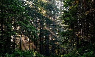 益玮的意思是什么 取名益玮的运势好吗