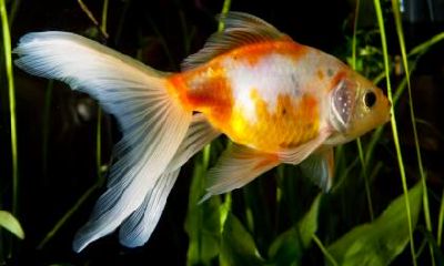 银行卡尾数为4的运气如何 尾数为什么最好