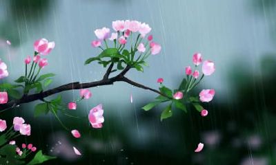 谈生意遇到下雨寓意 做生意的风水禁忌