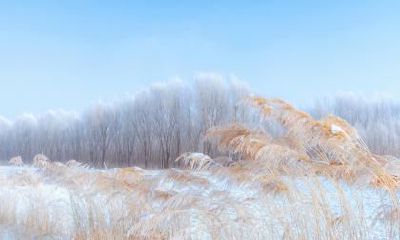 出远门下大雪寓意有哪些 出远门的禁忌