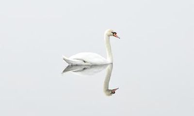 皓翔的意思和含义 取名皓翔运势解析