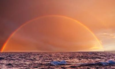 地支藏干怎么来的 地支藏干的影响解析