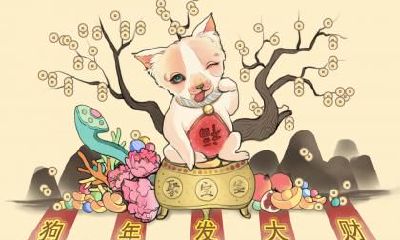 头发染什么颜色旺财 旺财的风水方法